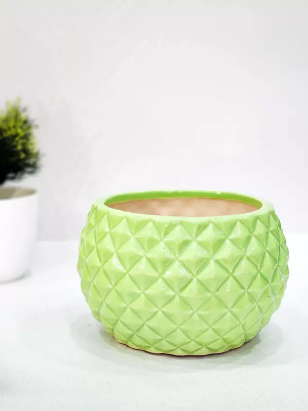 Diamond Cut Ceramic Pot for plants