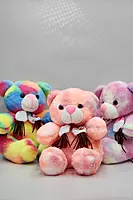 Cute Plushies Rainbow Teddy Bear Toy