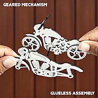 Fun Fidget Cruiser Bike