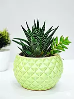 Diamond Cut Ceramic Pot for plants