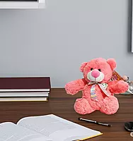 Super Soft and Fluffy Teddy Bear Peach