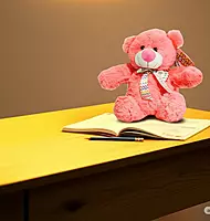 Super Soft and Fluffy Teddy Bear Peach