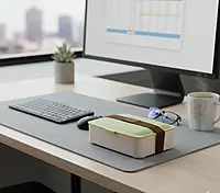 Single Layer Double Compartment Lunch Box