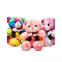 Cute Plushies Rainbow Teddy Bear Toy