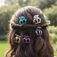 Set of 6pc small Hair Claws