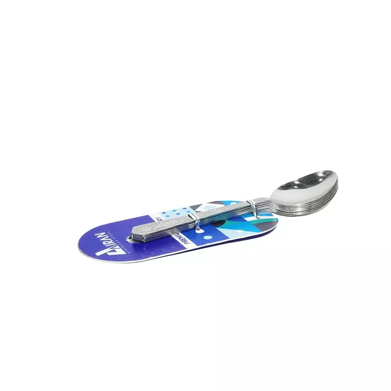 Stainless Steel 6 Pcs Designer Spoon Set