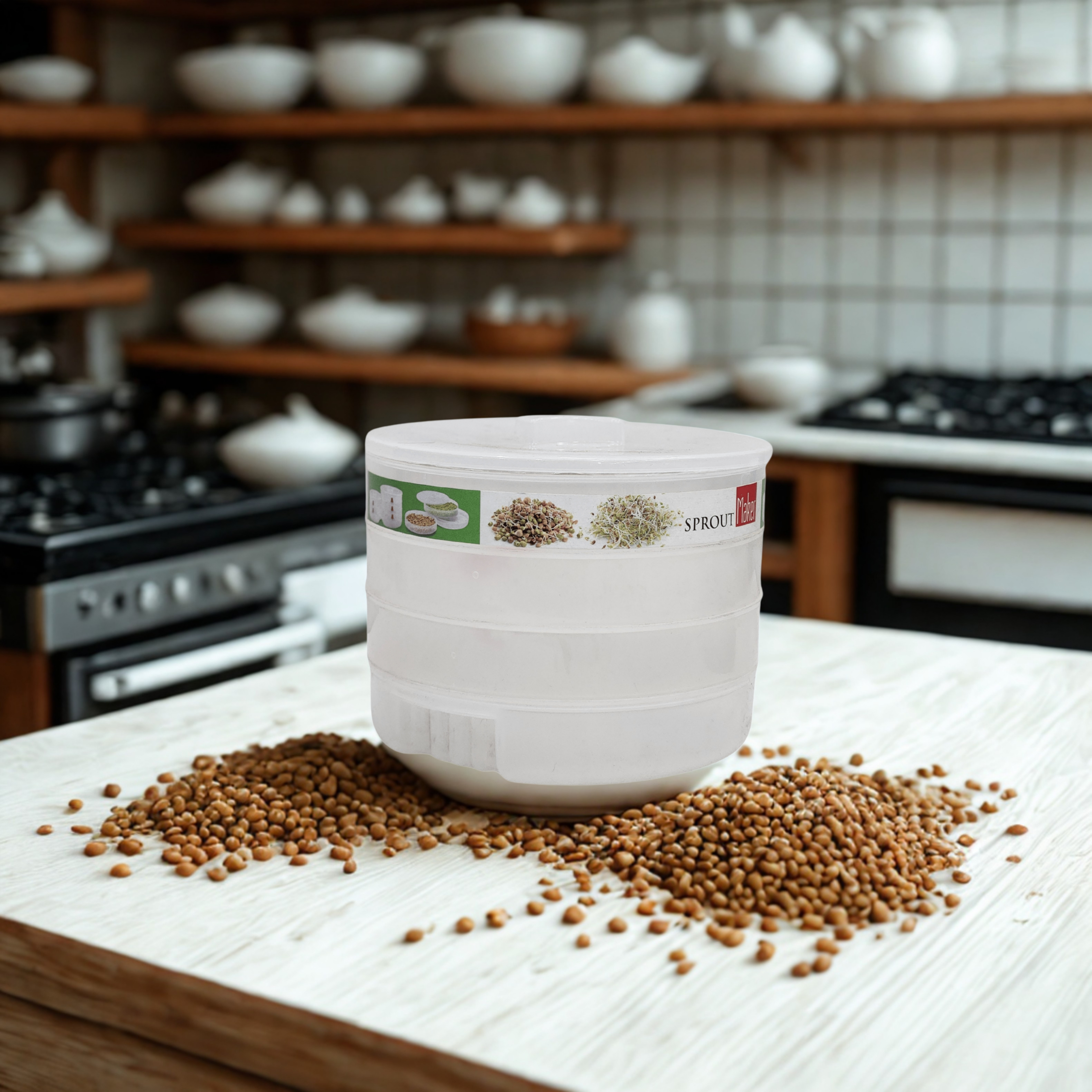 Sprout Maker Box