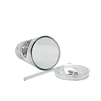Starbucks Glass Tumbler with Straw