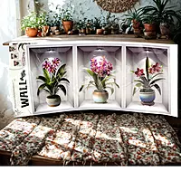 3D Wall Sticker Set of 3Pcs